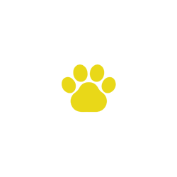 lab-testing-icon